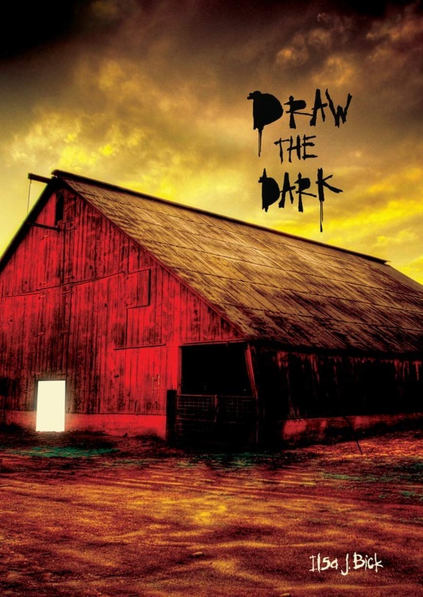 Draw the Dark, by Ilsa J Bick