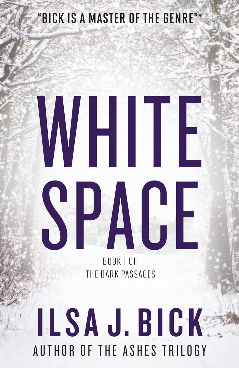 White Space, by Ilsa J Bick